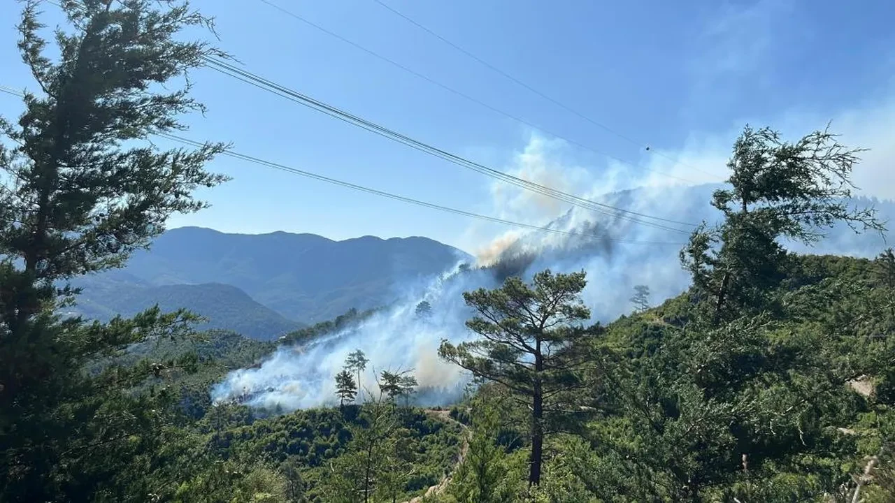 Antalya'da iki ilçede orman yangını! Ekipler seferber oldu