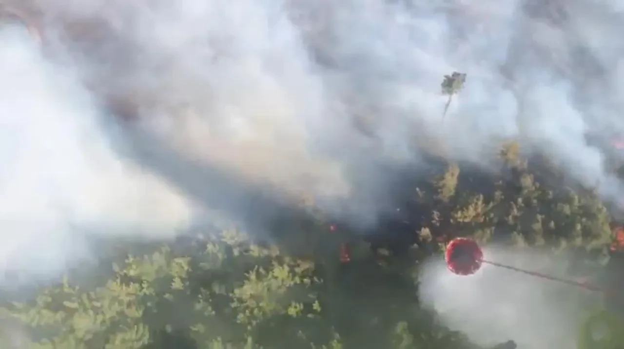 Antalya'da iki ilçede orman yangını! Ekipler seferber oldu