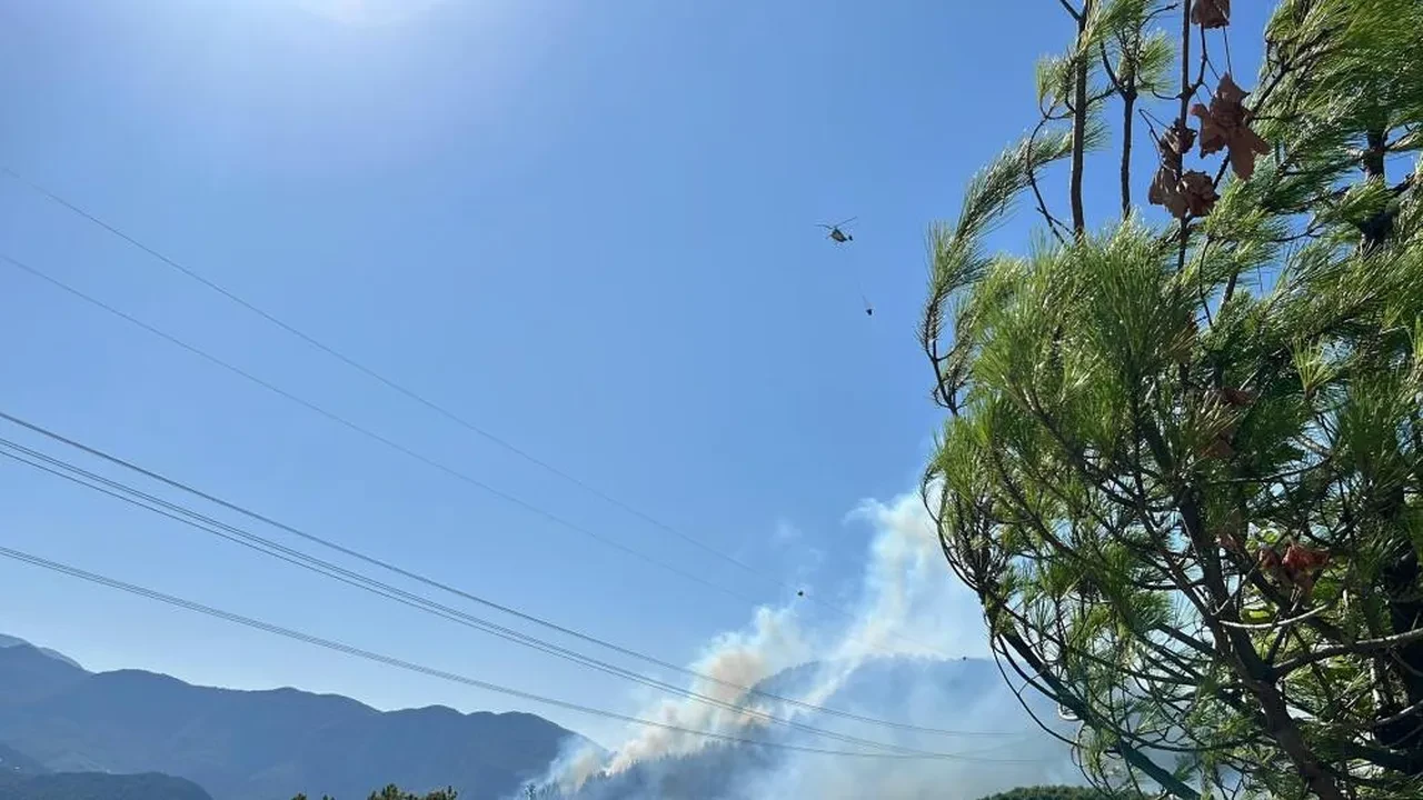 Antalya'da iki ilçede orman yangını! Ekipler seferber oldu