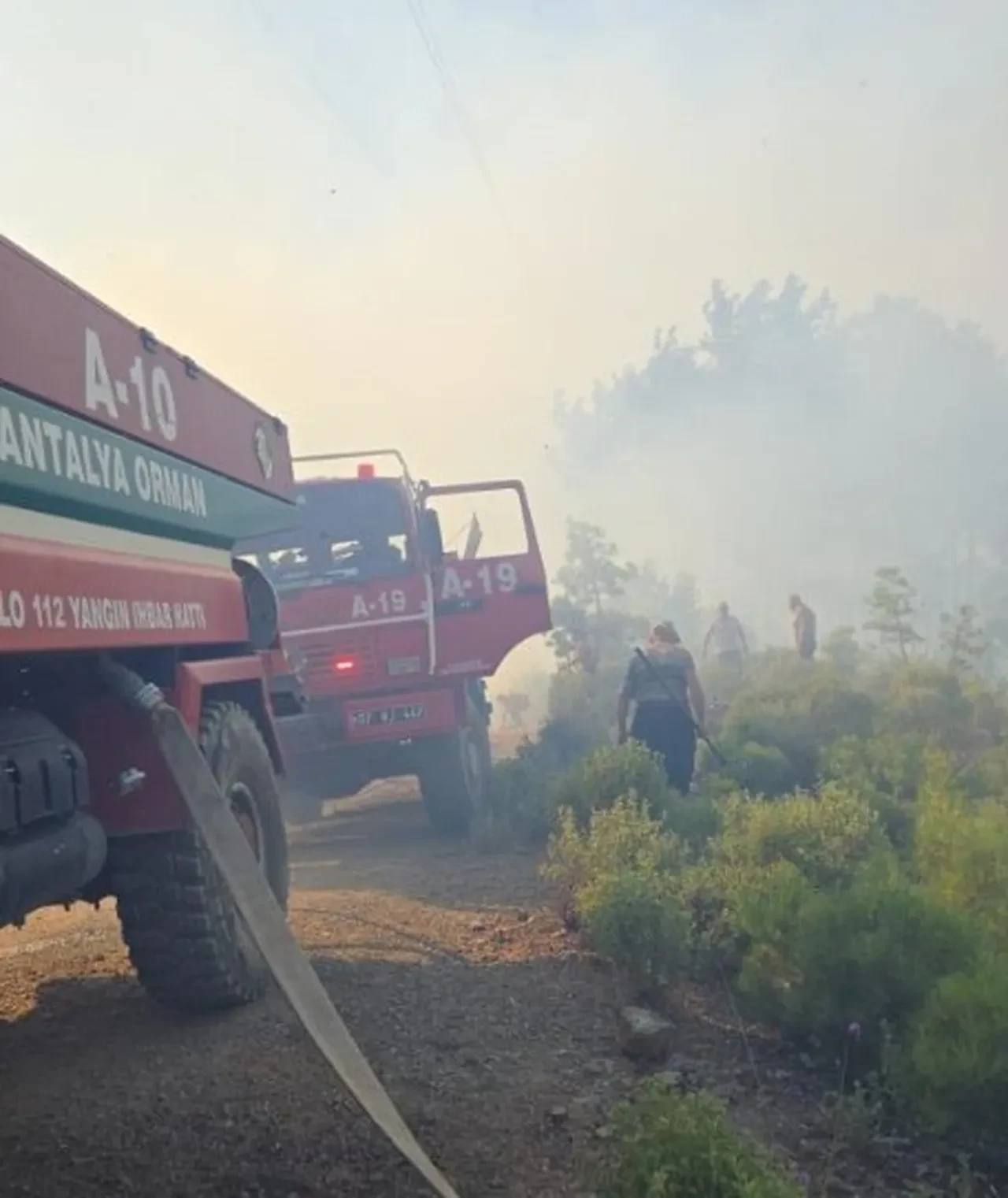 Antalya'da iki ilçede orman yangını! Ekipler seferber oldu