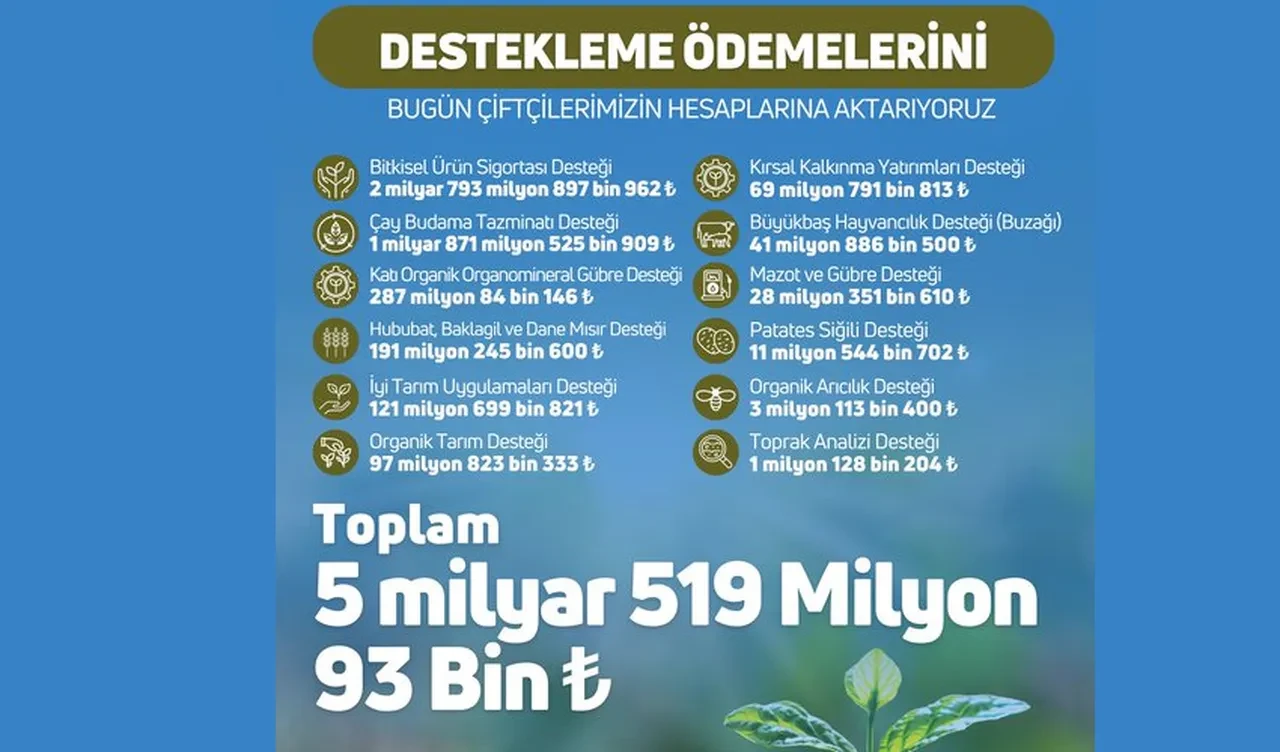 Bakan Yumaklı duyurdu! Ödemeler bugün hesaplara yatacak