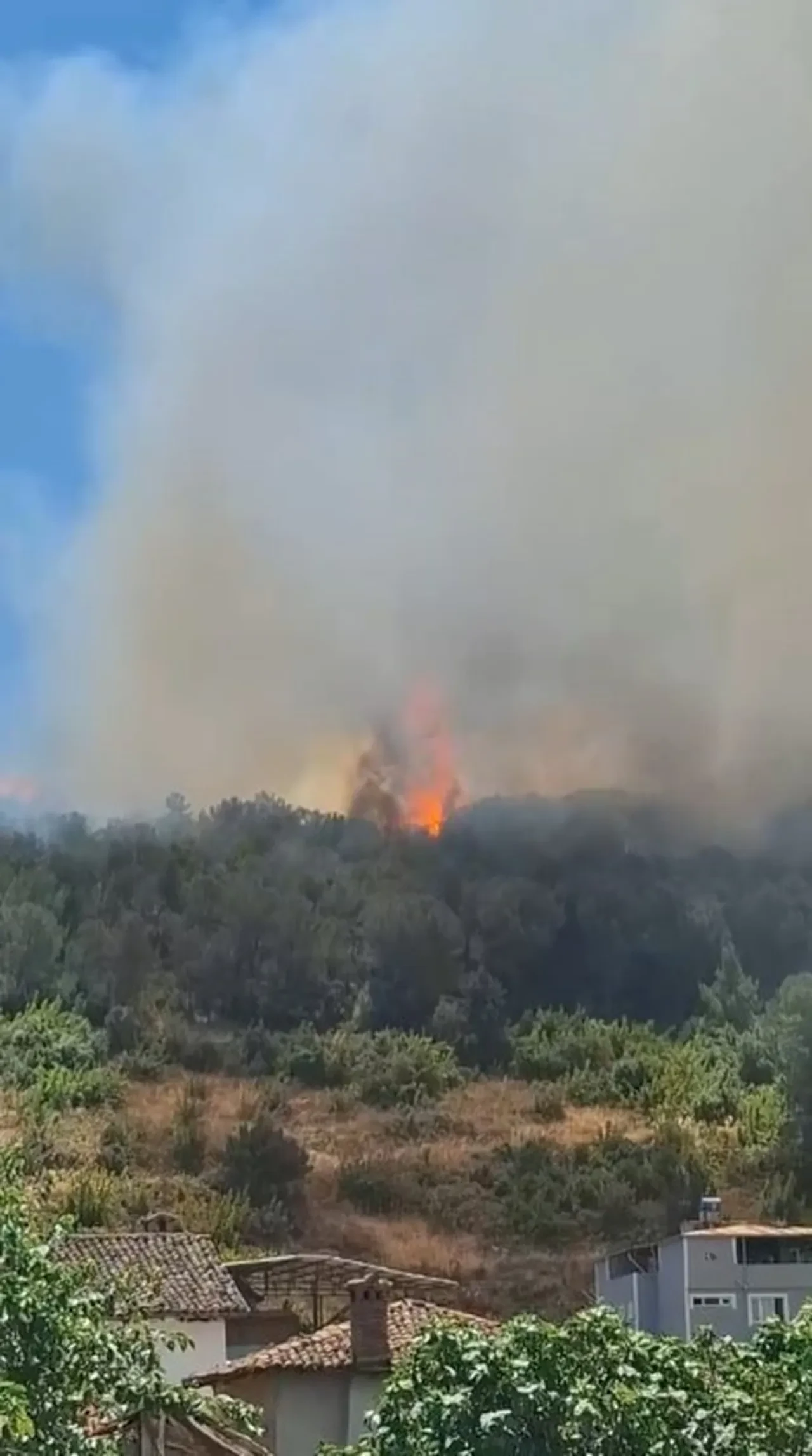 Bursa'da orman yangını! Alevler evlere sıçradı, büyük panik yaşandı