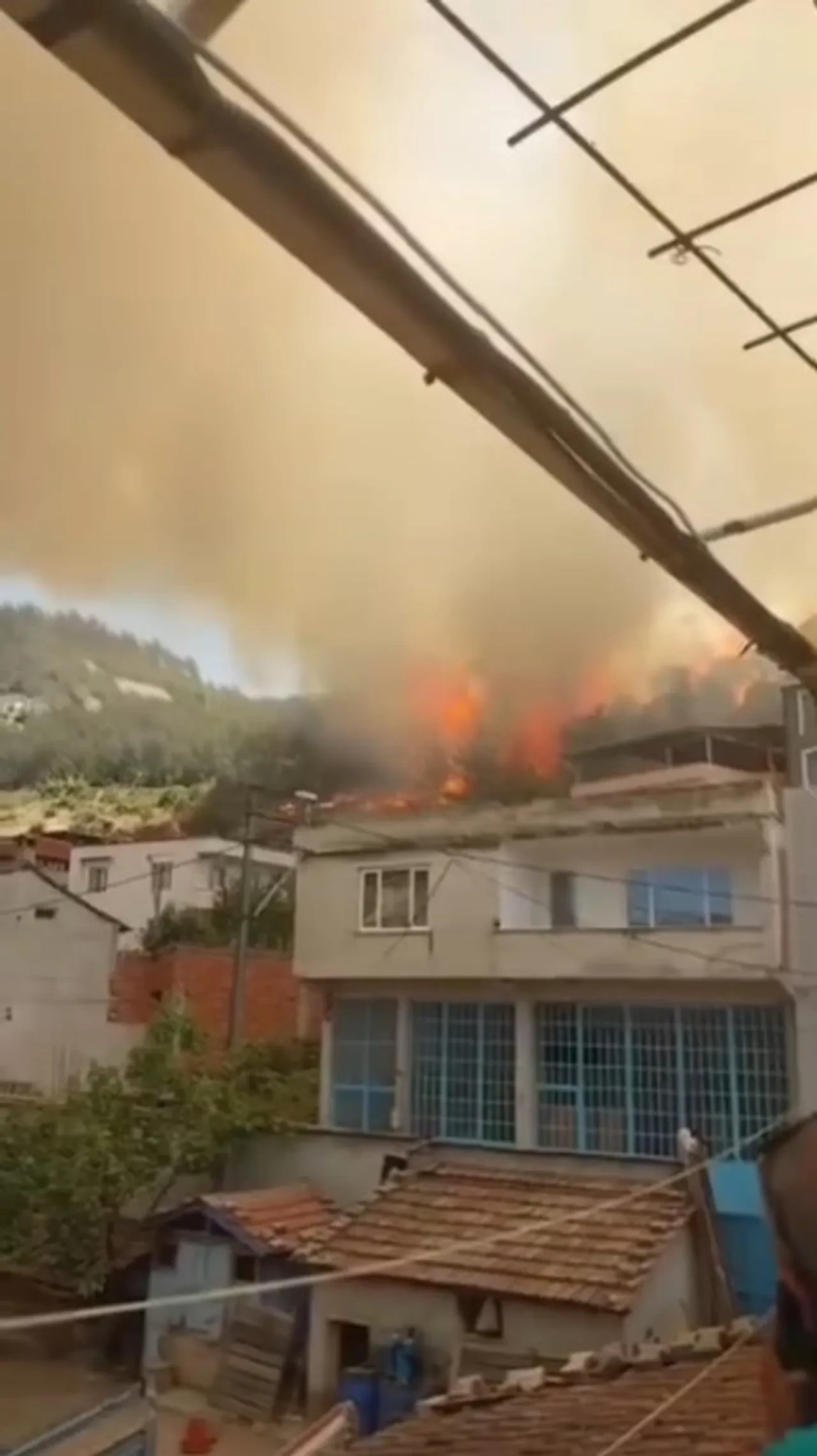 Bursa'da orman yangını! Alevler evlere sıçradı, büyük panik yaşandı