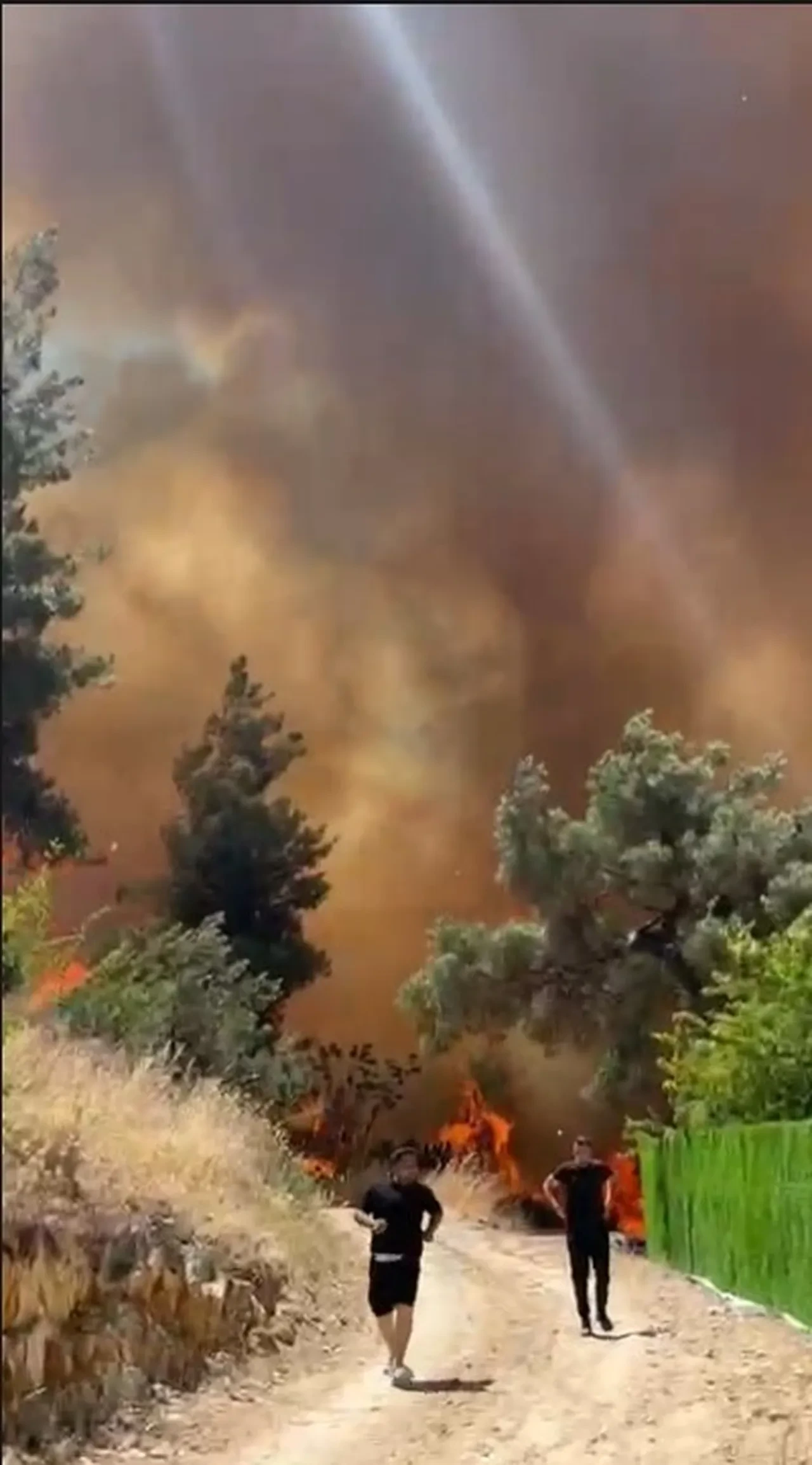 Bursa'da orman yangını! Alevler evlere sıçradı, büyük panik yaşandı