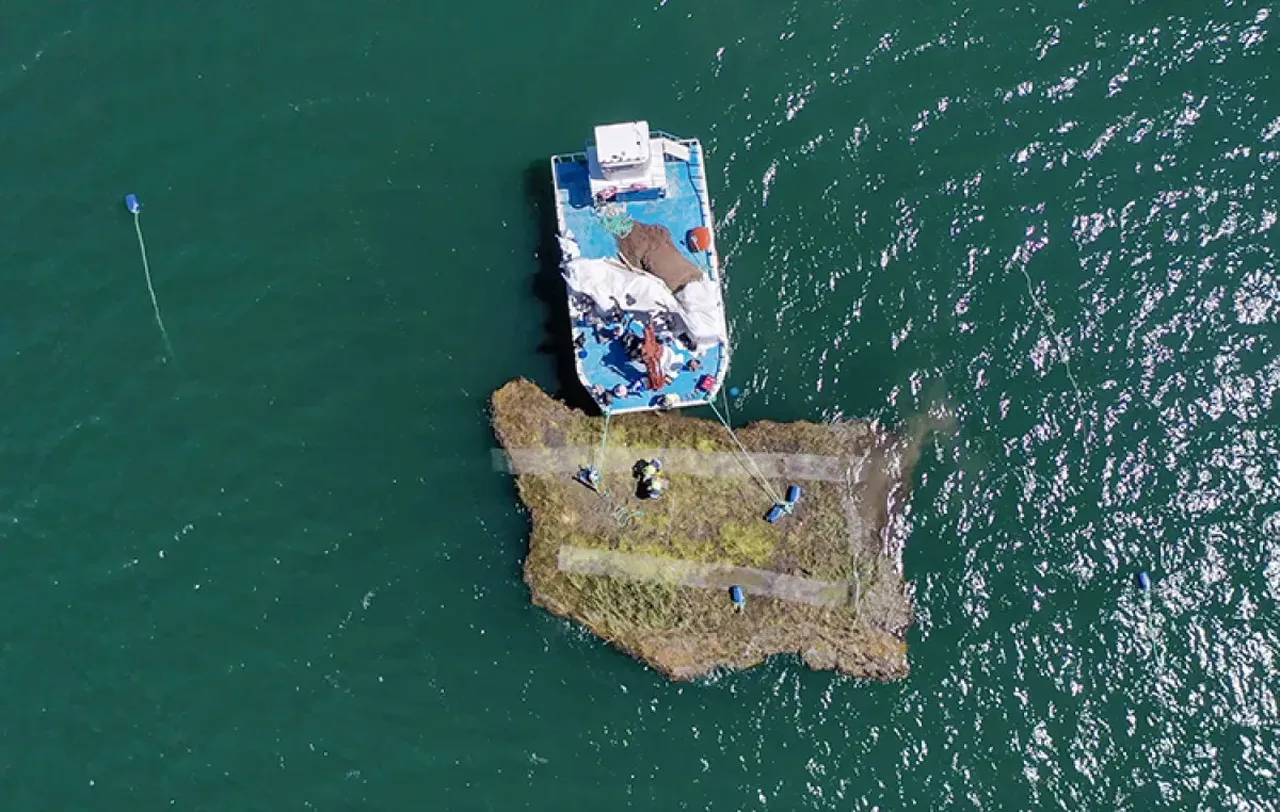 Eşi benzeri bulunmayan adalar! İlk sabitleme uygulaması başarılı