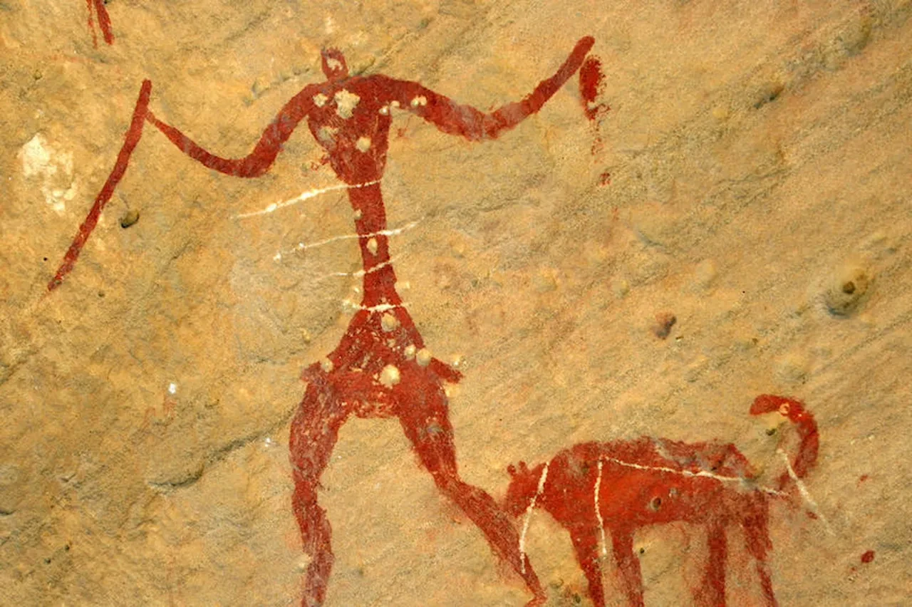 Evcilleştirilen ilk hayvan hangisi? Kim Milyoner Olmak İster’de kafaları kurcalayan soru