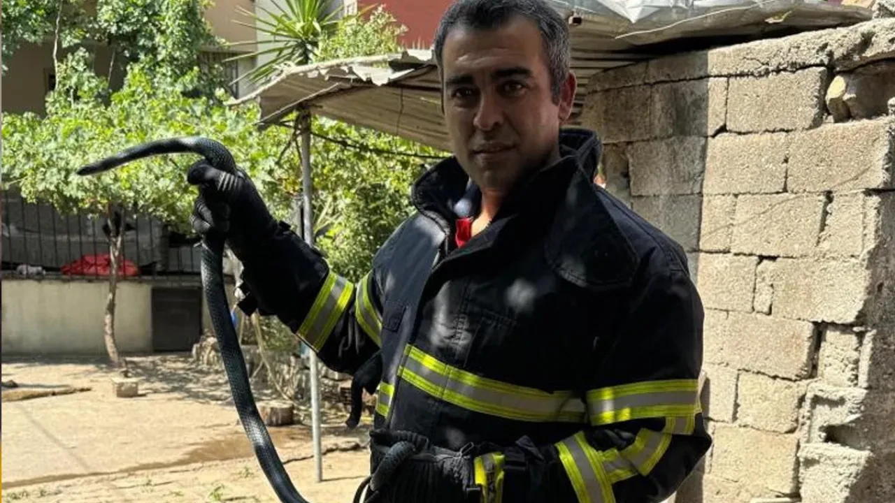 Eve giren kara yılan paniğe neden oldu