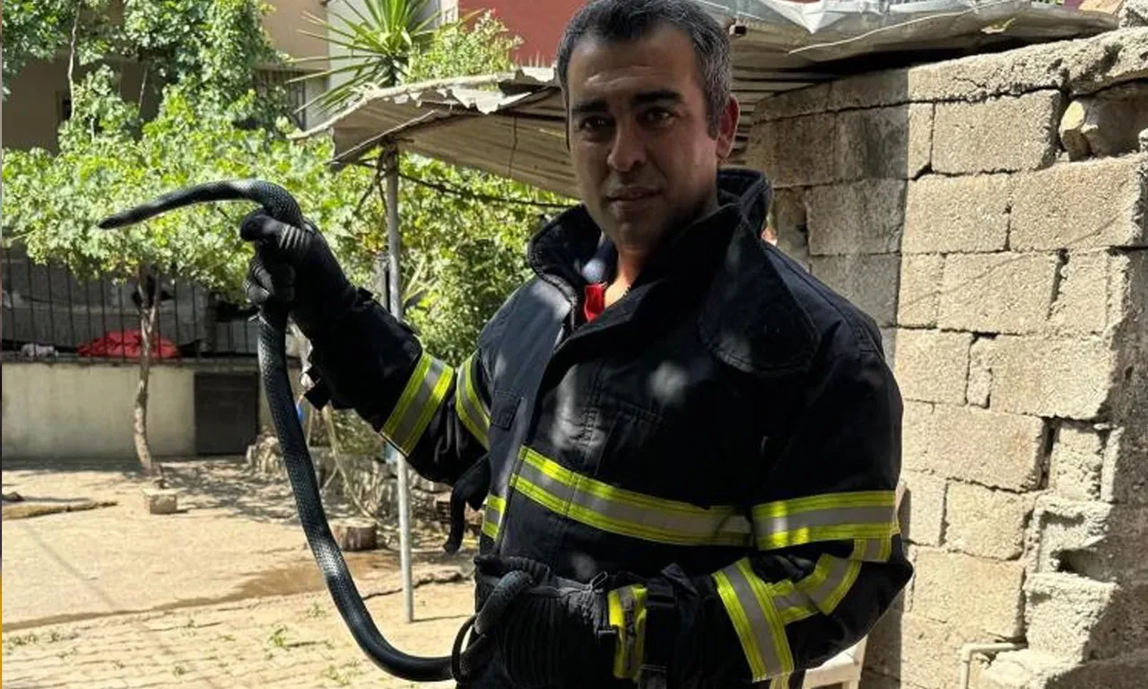 Eve giren kara yılan paniğe neden oldu