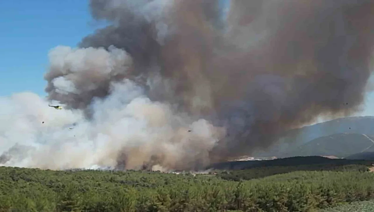 İzmir Bornova’daki yangın söndürüldü mü? 8 uçak, 17 helikopterle müdahale