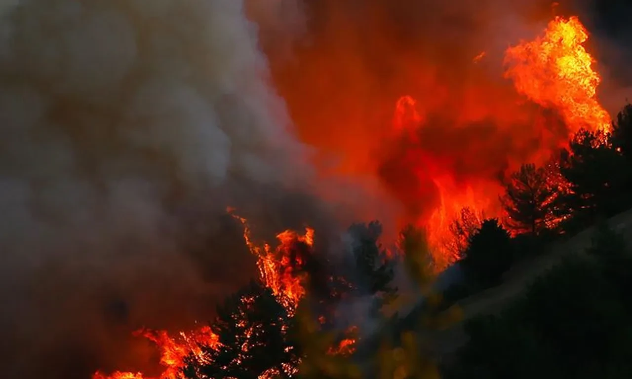 Meteoroloji'den orman yangını uyarısı
