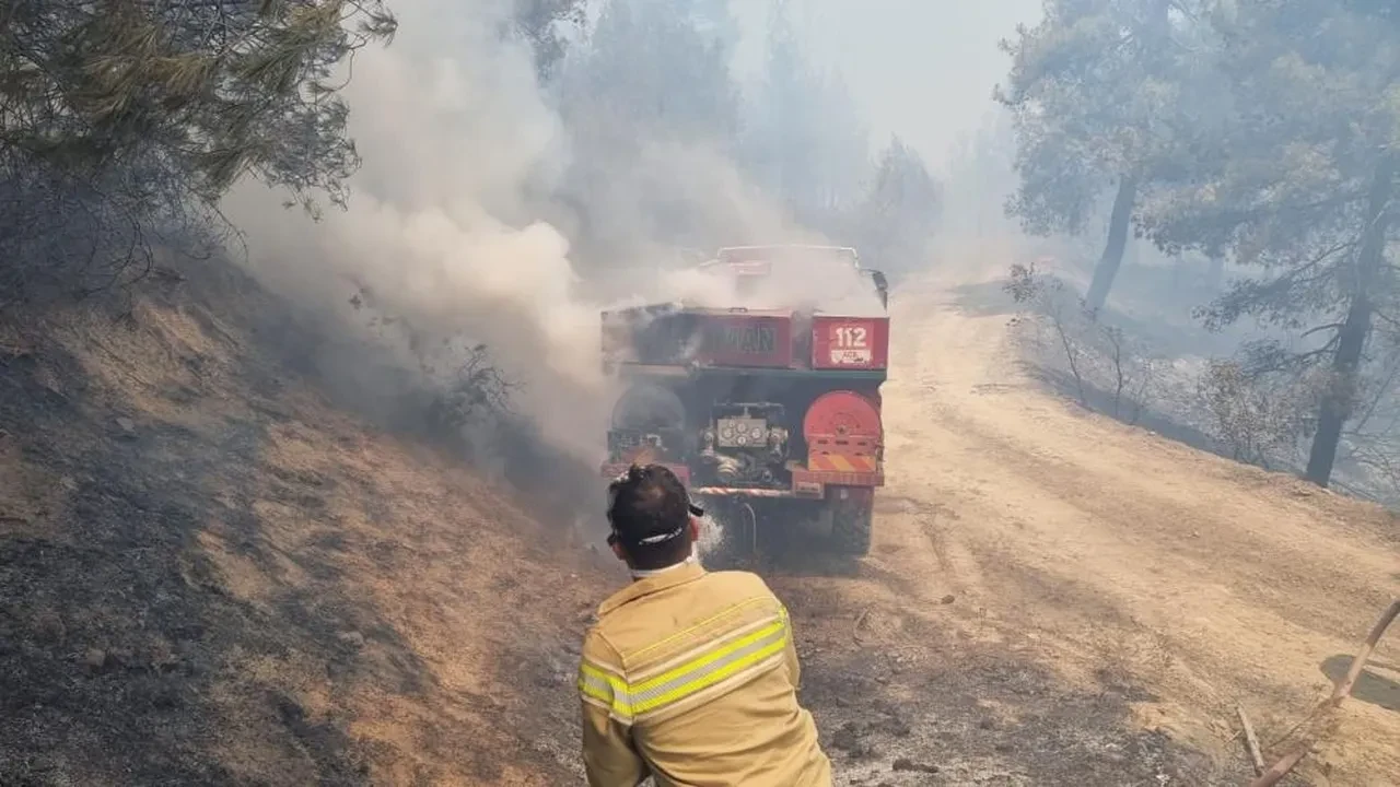 Sakarya'daki orman yangınında can pazarı! Ekipler alevlerin arasında kaldı 