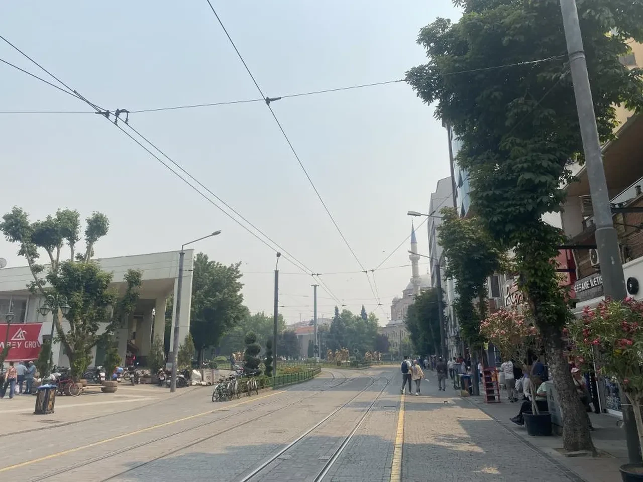 Bilecik'te süren yangının dumanı Eskişehir'e ulaştı