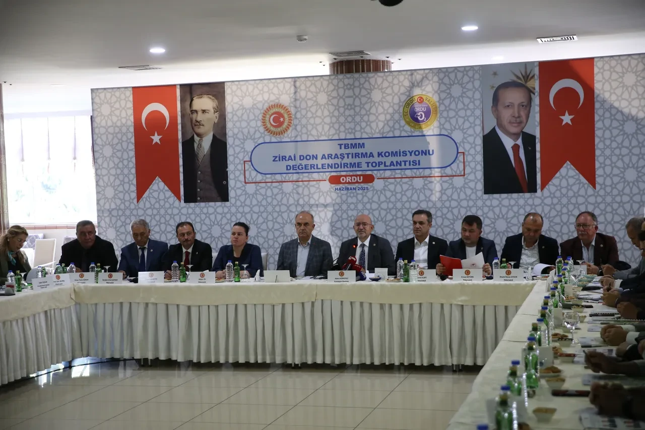 Fındığın kalbi Ordu ve Giresun'da hasar büyük! Hasadın hiç olmadığı yerler var