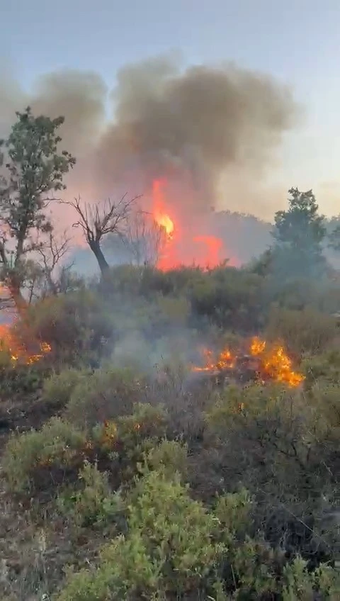Balıkesir’de otomobil yangını ormana sıçradı 3 hektar alan kül oldu!