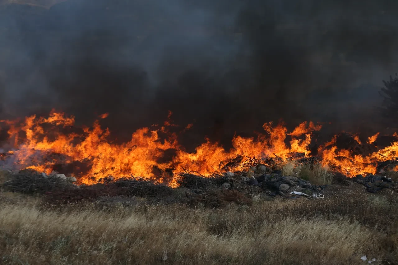 İzmir'deki görevli ormanı kasıtlı olarak mı yaktı? DMM görüntülerin aslını açıkladı