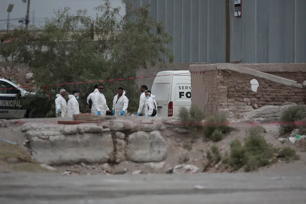 Meksika'da mumya dehşeti! Gelen garip kokular korkunç gerçeği ortaya çıkardı