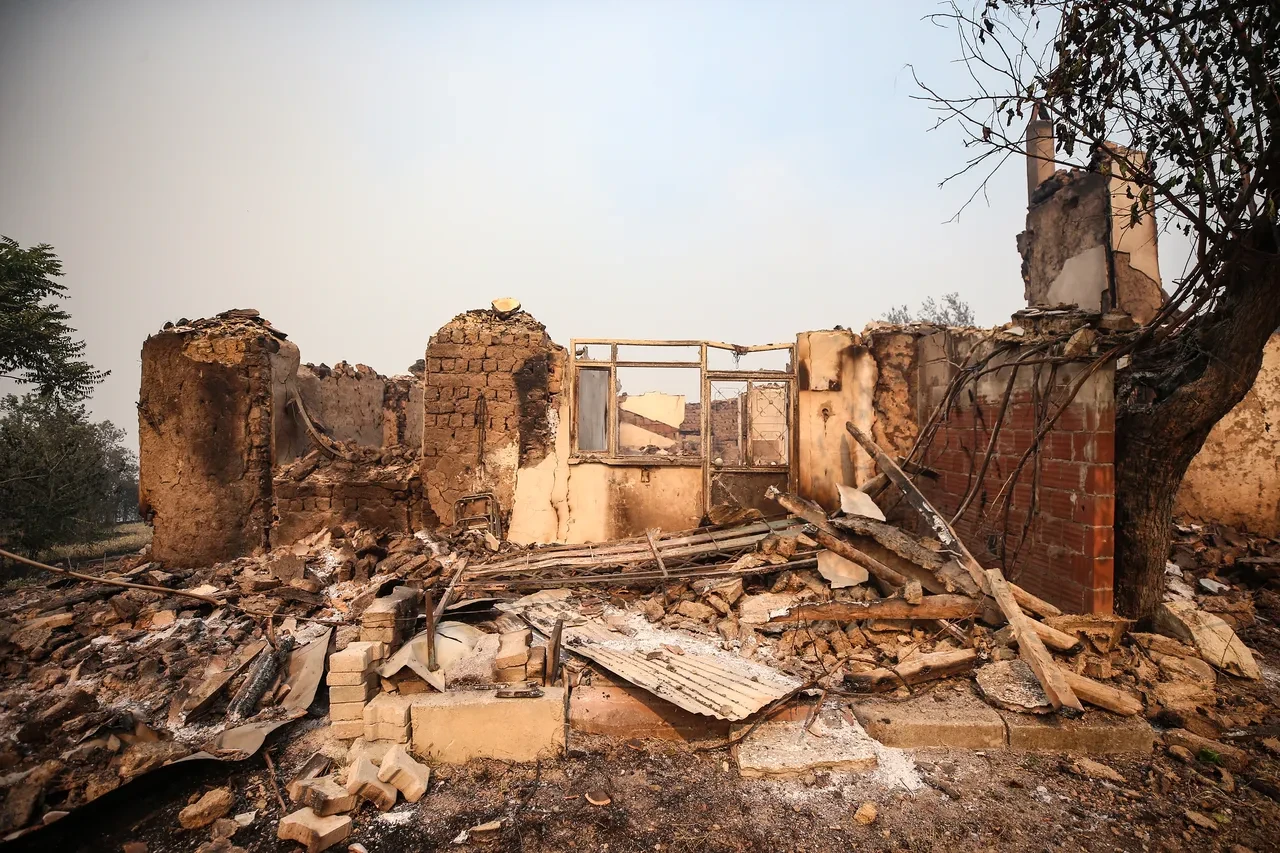 Bakan Yumaklı'dan 'orman yangınları' açıklaması: 'Riskli 3 yangın sürüyor, gözaltılar var' 