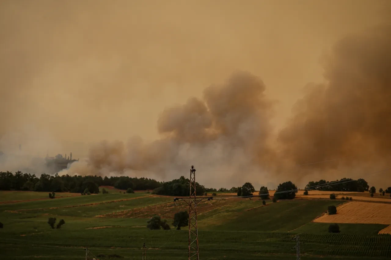 Bakan Yumaklı'dan 'orman yangınları' açıklaması: 'Riskli 3 yangın sürüyor, gözaltılar var' 