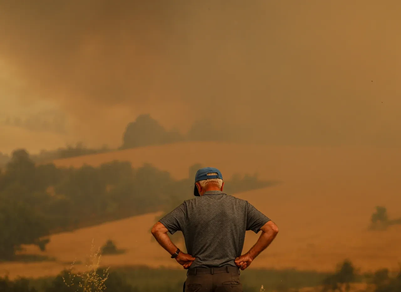 Bakan Yumaklı'dan 'orman yangınları' açıklaması: 'Riskli 3 yangın sürüyor, gözaltılar var' 