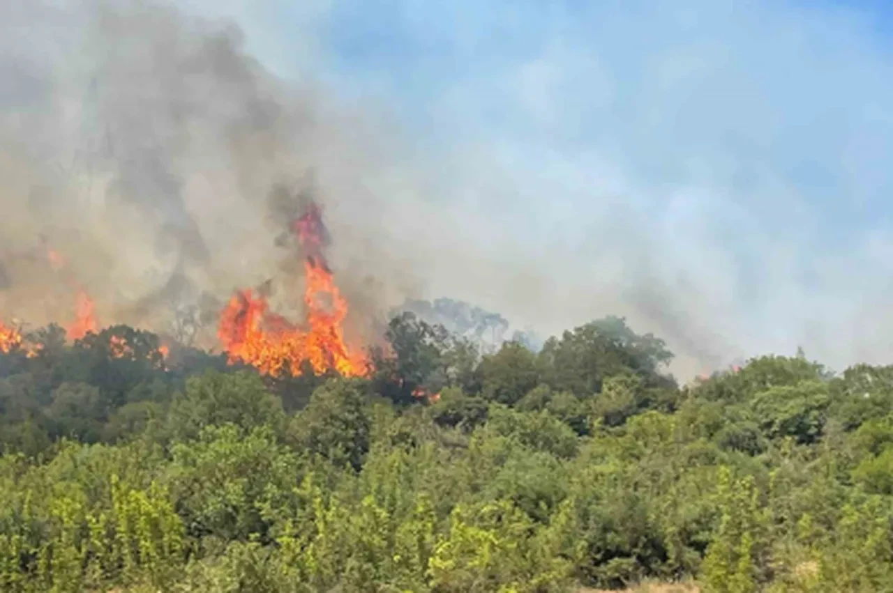 Türkiye genelinde 47 ilde ormanlara giriş yasaklandı