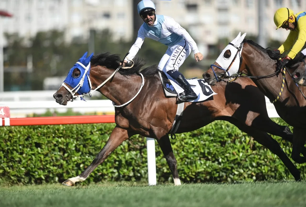 Hulusi Çil kimdir? 99. Gazi Koşusu'nda Cutha’nın sahibi ne kadar ödül kazandı?