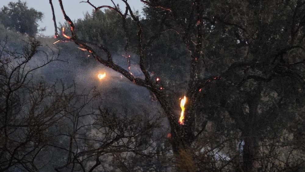 Muğla, Milas'ta düğün konvoyundan atılan meşale yangına neden oldu!