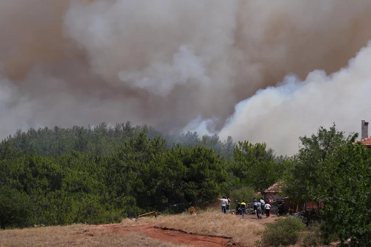 İzmir'de 2 ilçede orman yangını! Fırtına ekipleri zorluyor: İşte ilk görüntüler