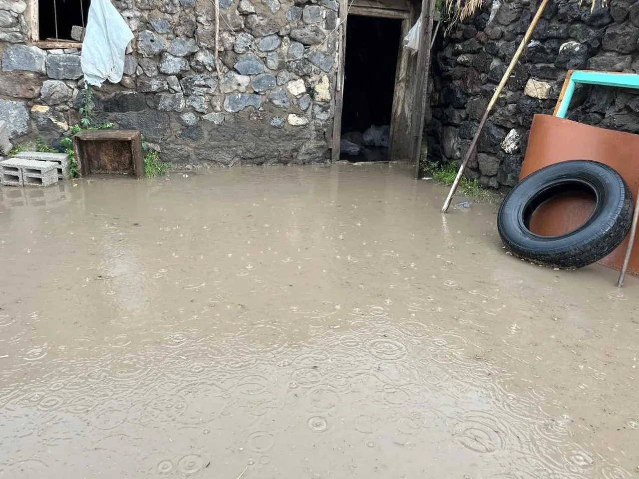 Kars'ta sağanak: Ahırlar ve tarım arazileri sular altında kaldı!