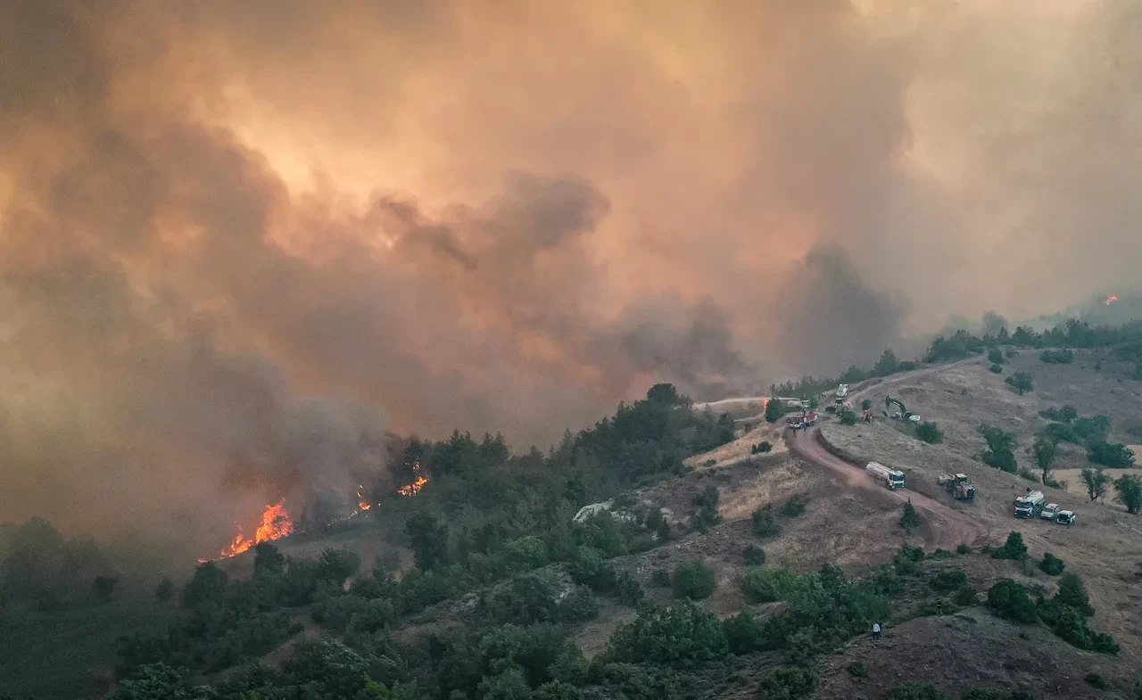 Orman yangınlarına ilişkin jandarmadan açıklama: Gözaltılar var