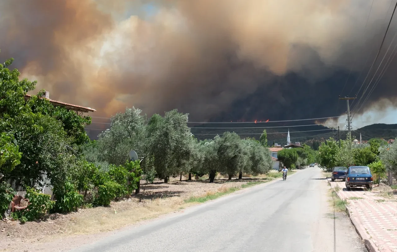 Orman yangınlarına ilişkin jandarmadan açıklama: Gözaltılar var
