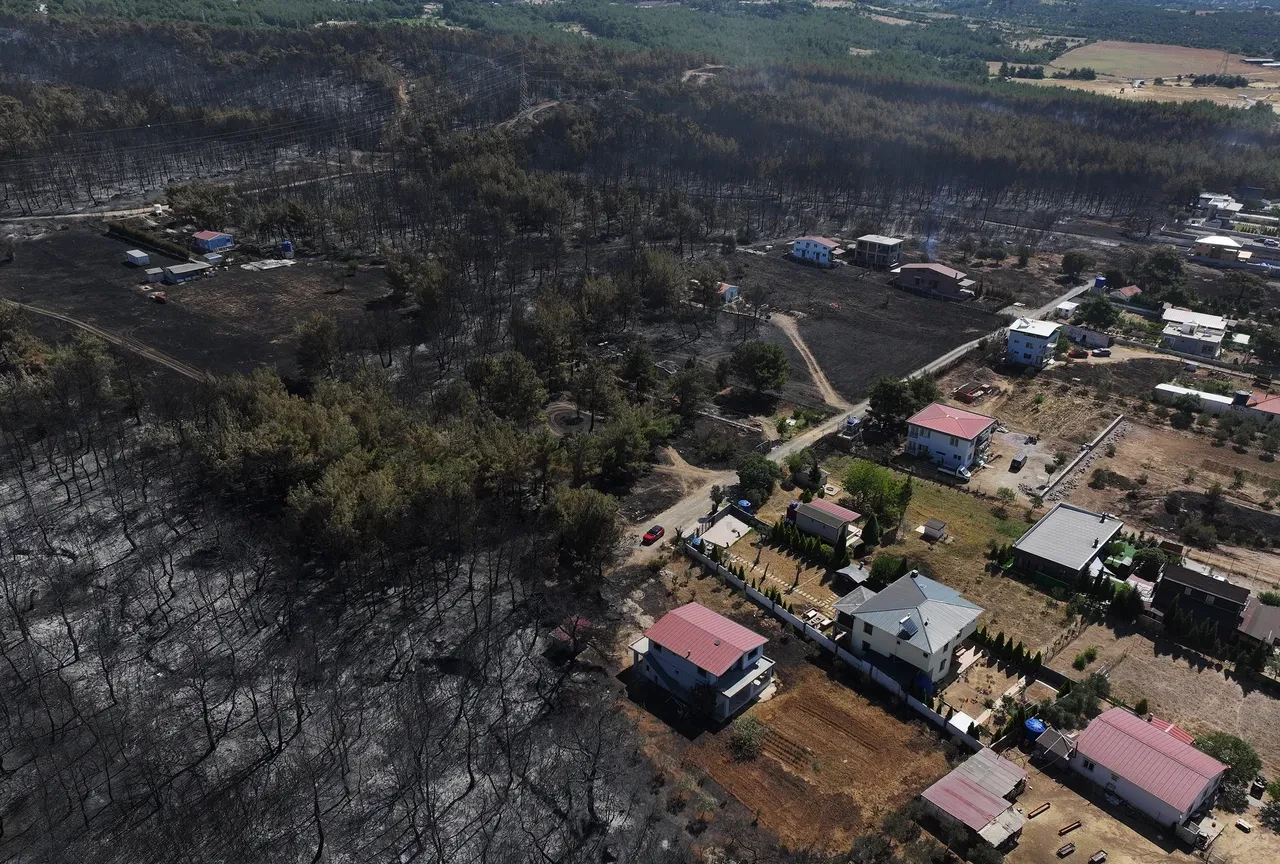 Orman yangınlarına ilişkin jandarmadan açıklama: Gözaltılar var
