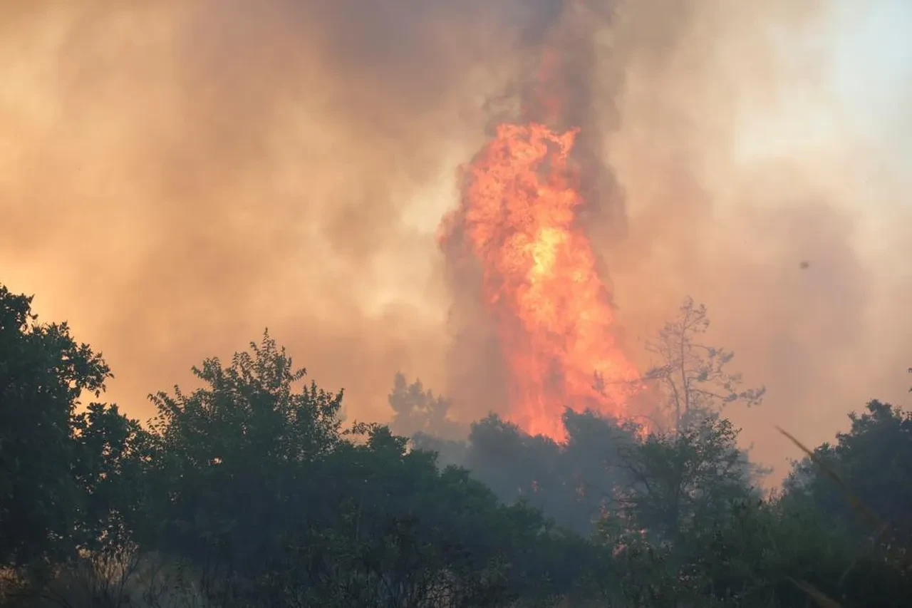 Yangın haberini izlerken kabusu yaşadı! Alevler kapısına dayandı
