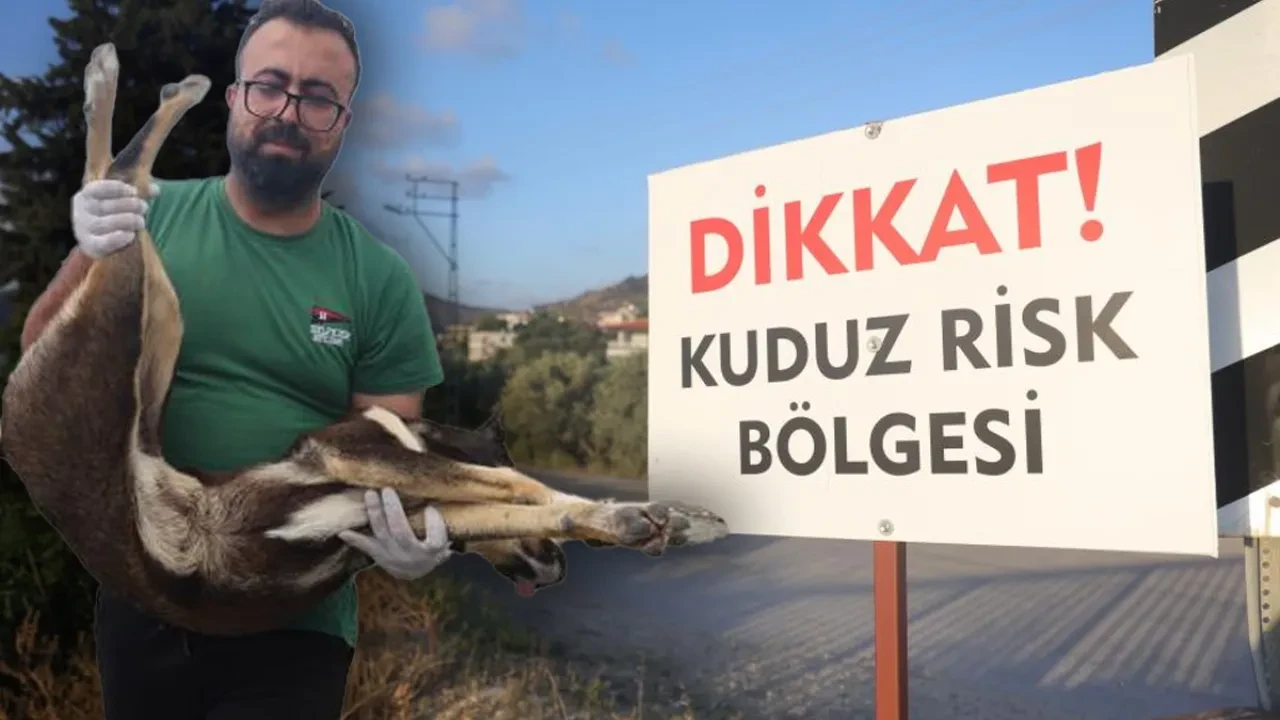 4 mahalle diken üstünde! Giriş-çıkışlar yasaklandı
