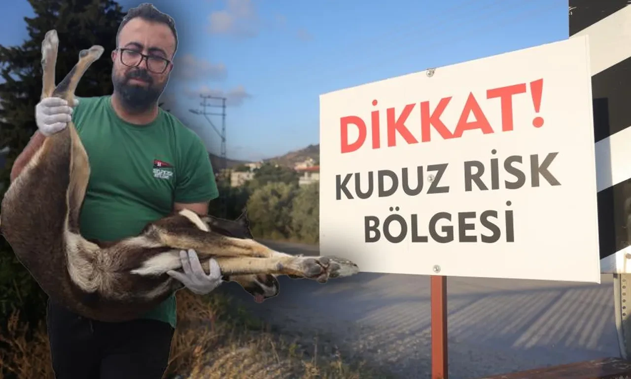4 mahalle diken üstünde! Giriş-çıkışlar yasaklandı