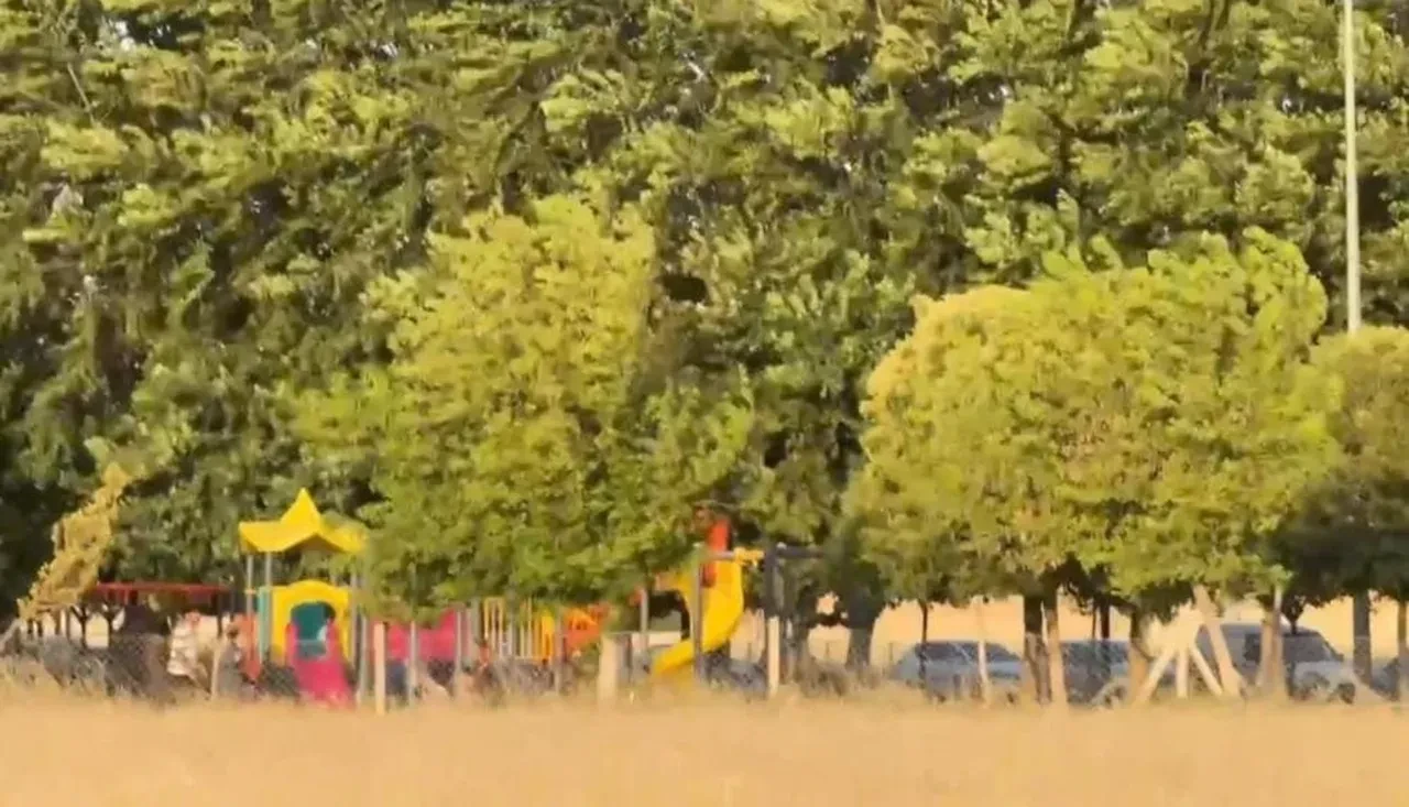 Bisikletten düşen çocuk hayatını kaybetti! Acı gerçek sonradan ortaya çıktı