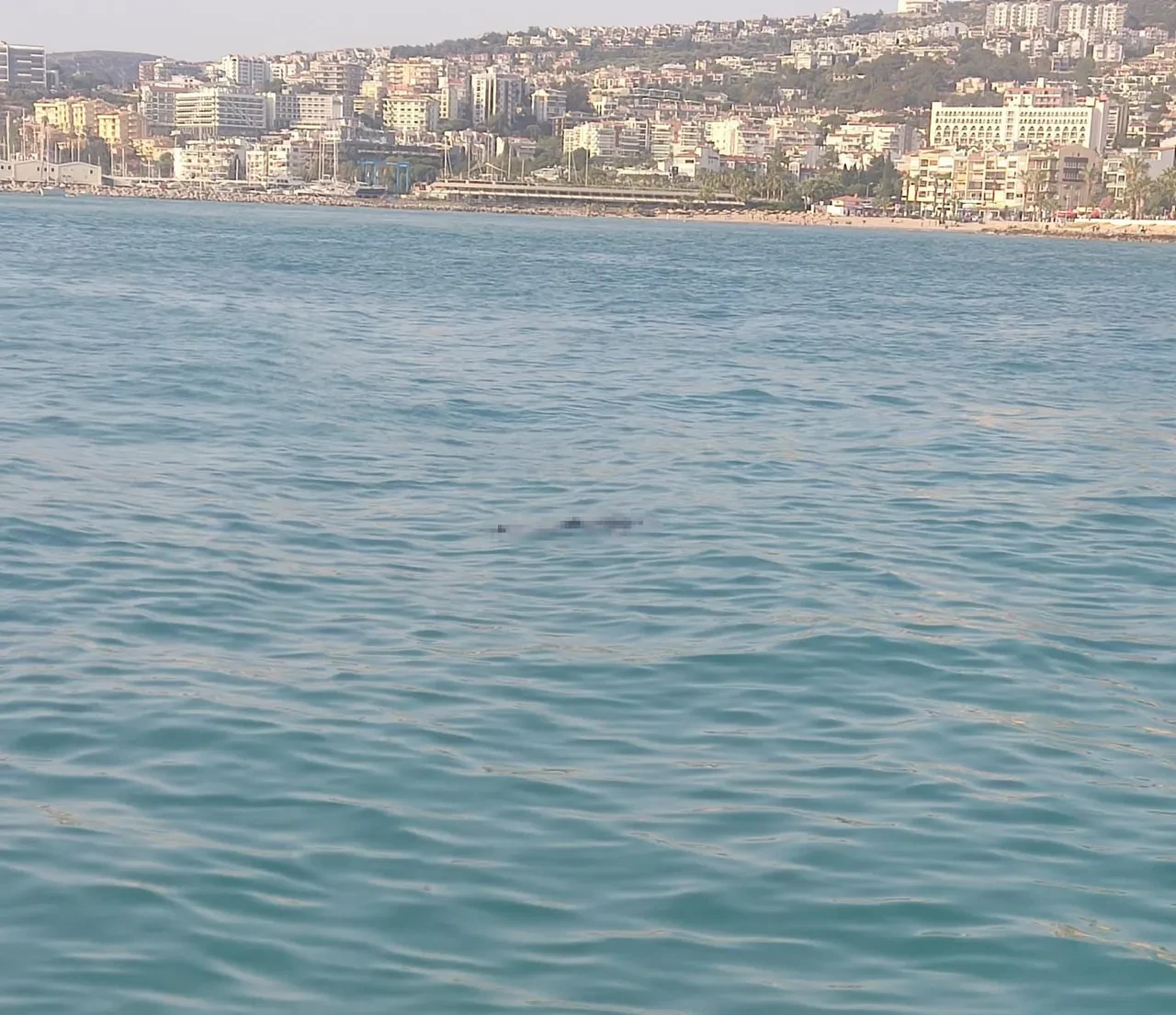 Kuşadası sahilinde esrarengiz ölüm: Denizde erkek cesedi bulundu!