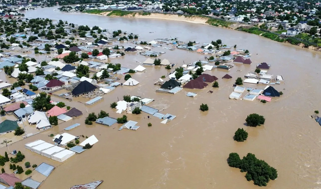 Nijerya'daki sel felaketinde bilanço ağırlaşıyor! Yüzlerce kişi kayıp