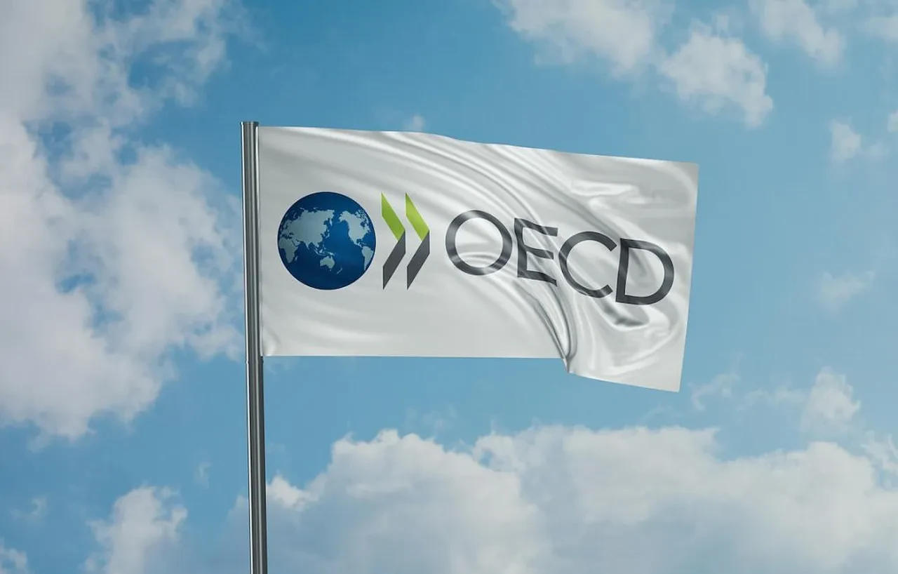 OECD’den Türkiye ekonomisine mercek: Büyüme yavaşlıyor, toparlanma 2026'da