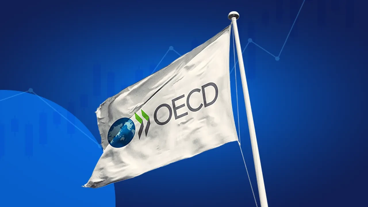 OECD’den Türkiye ekonomisine mercek: Büyüme yavaşlıyor, toparlanma 2026'da