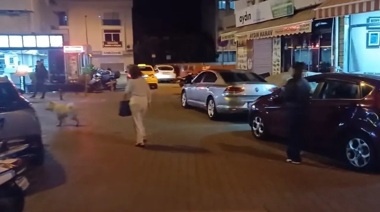 Son dakika | Ege Denizi'nde korkutan deprem! İzmir, Muğla ve Antalya'dan hissedildi