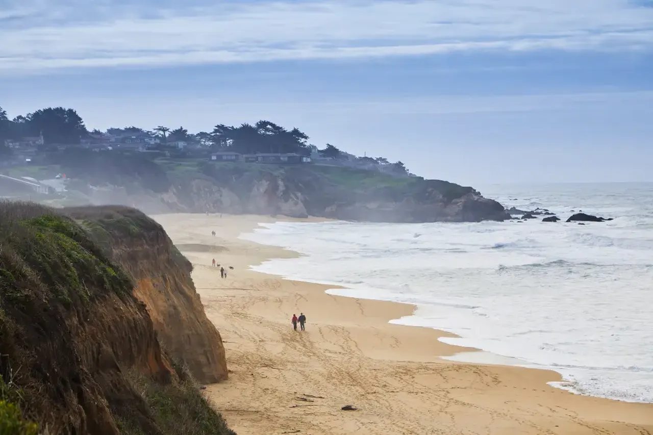 Sörfçünün korku dolu anları: Ayağına çarpan köpek balığından zor kurtuldu