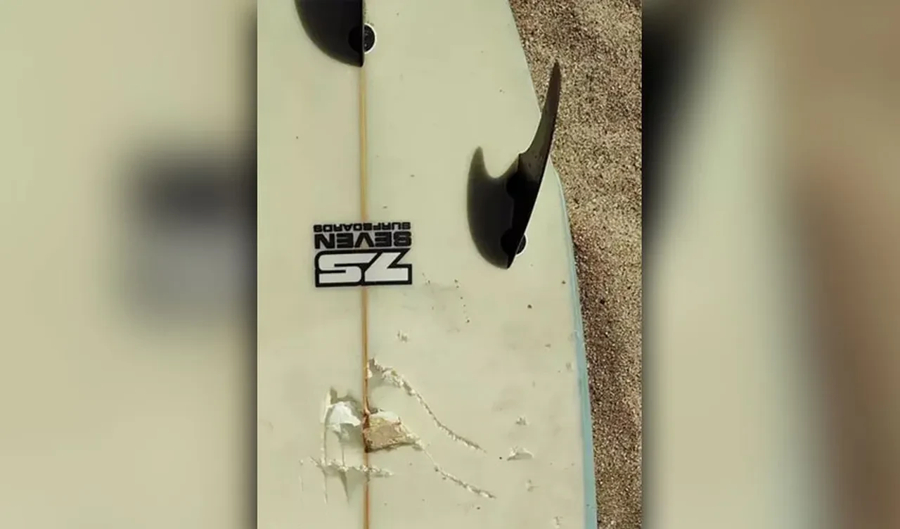 Sörfçünün korku dolu anları: Ayağına çarpan köpek balığından zor kurtuldu