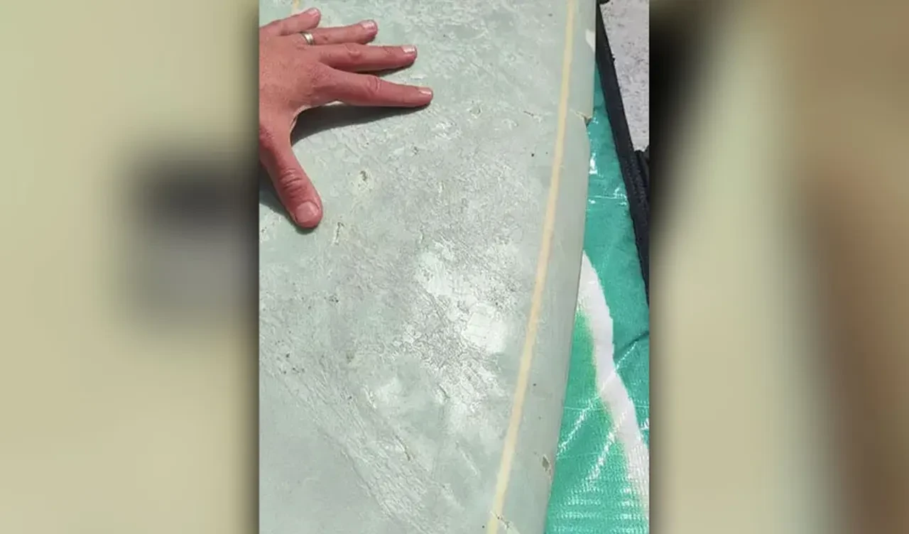 Sörfçünün korku dolu anları: Ayağına çarpan köpek balığından zor kurtuldu