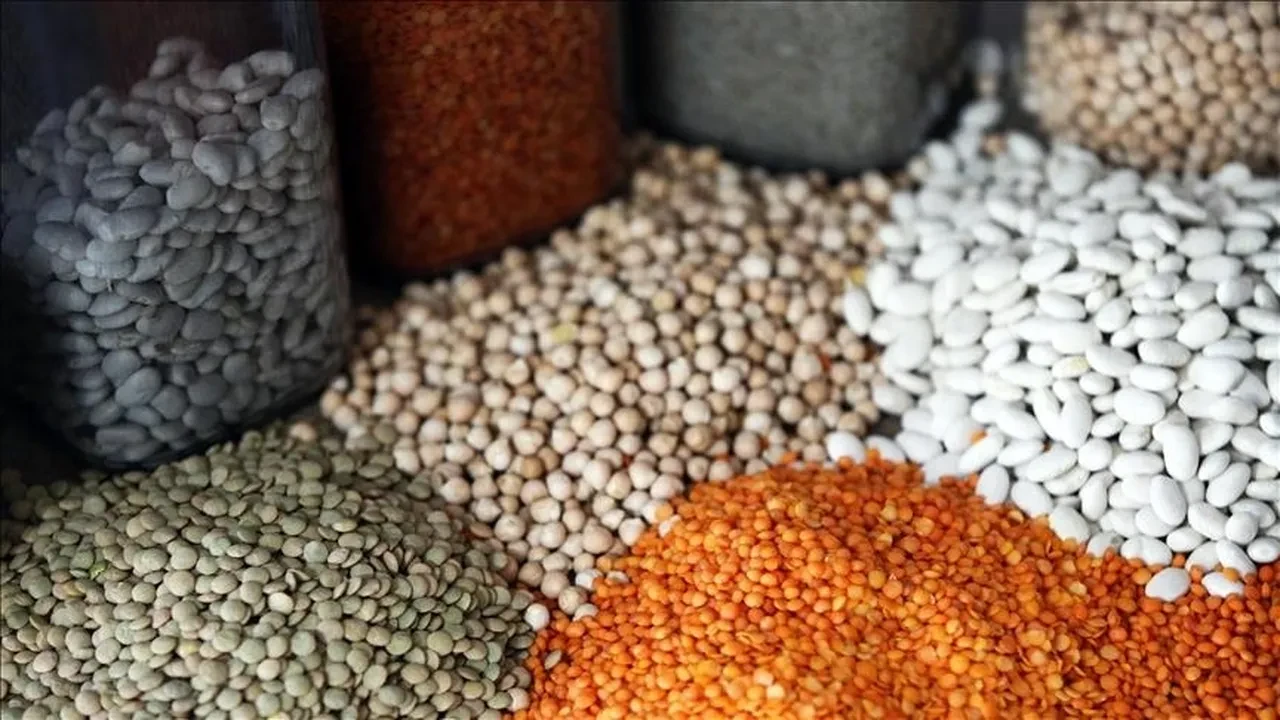 TMO açıkladı! Hububat alım fiyatları belli oldu