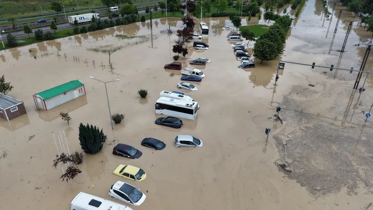 Trabzon'u sel aldı! Dereler taştı, araçlar suya gömüldü, hayvanlar telef oldu