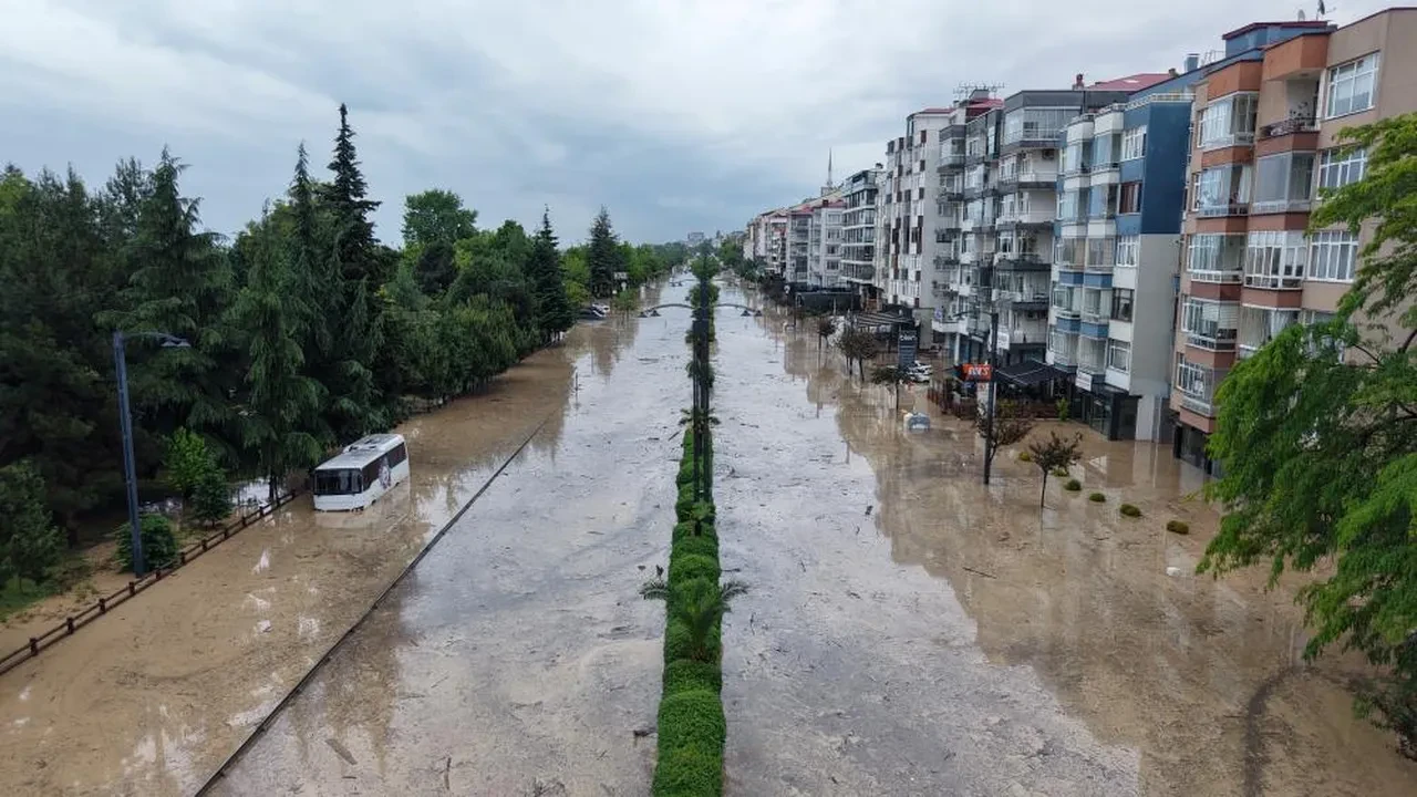 Trabzon'u sel aldı! Dereler taştı, araçlar suya gömüldü, hayvanlar telef oldu