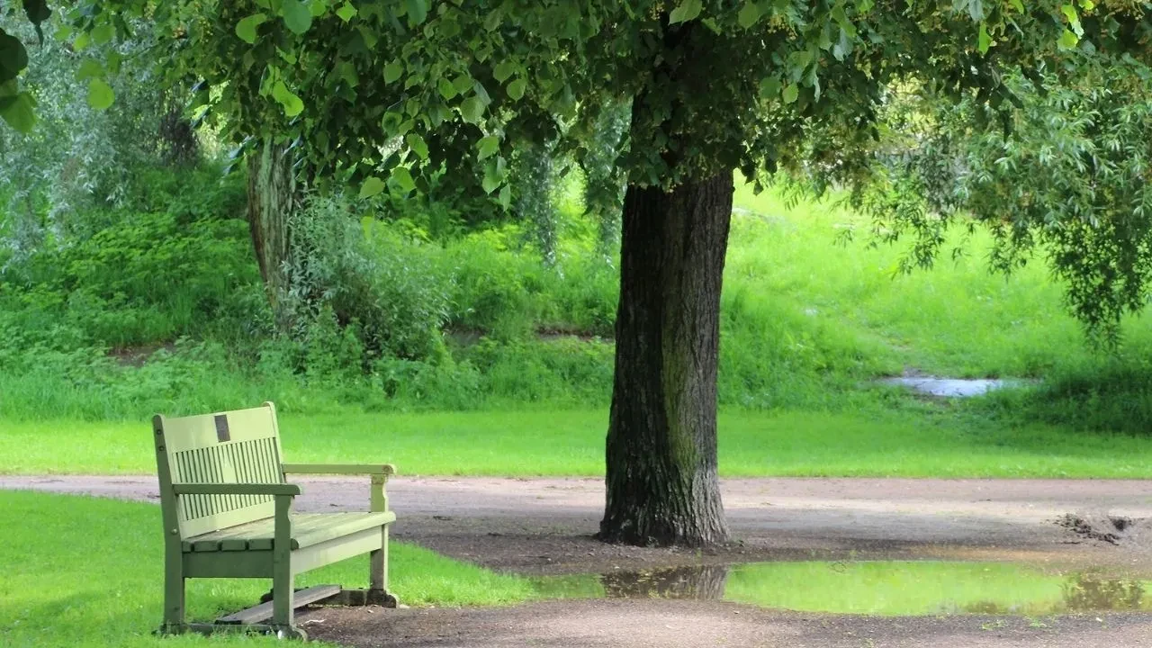 Türkiye’nin en huzurlu 10 ilçesi! Bakın listenin ilk sırasında neresi var
