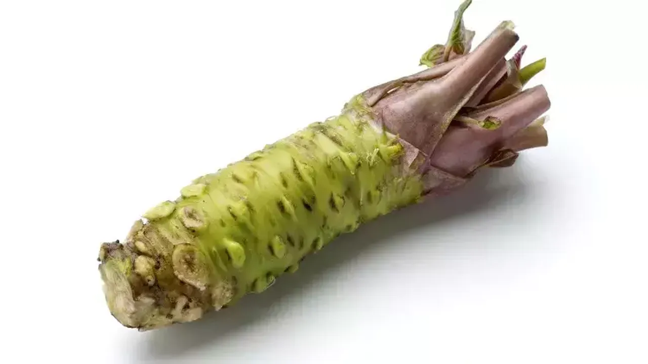 Wasabi neyden yapılır? Wasabi nasıl yapılır ve malzemeleri nedir?