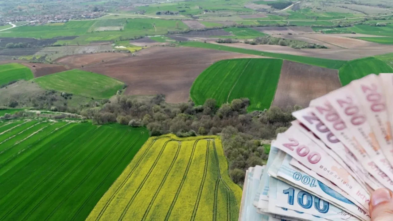 Yatırımcılar dikkat! Belediyelerden milyonluk arsa satışları başlıyor