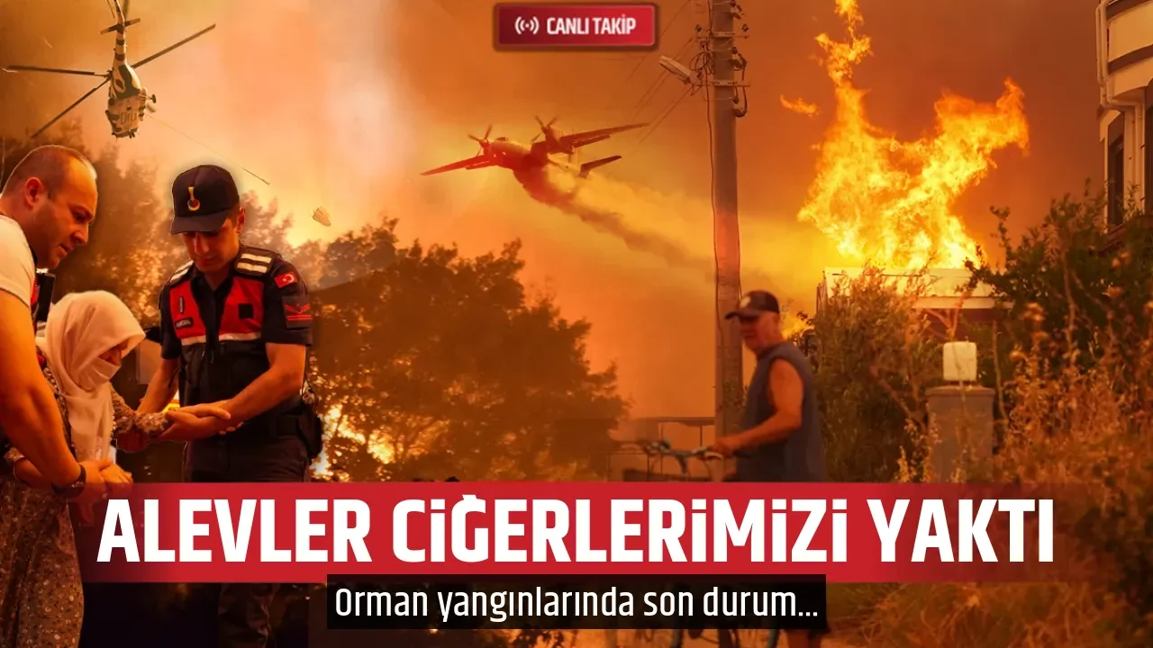 ALEVLER CİĞERLERİMİZİ YAKTI